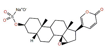 Resibufogenin 3-sulfate